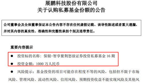 私募投資新動向 展鵬科技等七家公司年內豪擲5.53億認購，因私出入境中介服務引關注
